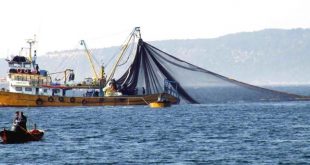 Türkiye'de balıkçılık ve su ürünleri ekonomisi
