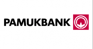 Pamukbank Kim Kurdu? Pamukbank Neden battı?