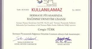 SPK Lisansı Nedir