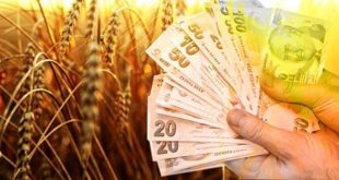 Tarım Kredisi ve Çiftçi kredisi