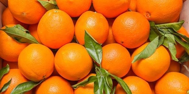 Portakalın faydaları Nelerdir?