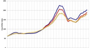 Case Shiller Index Nedir