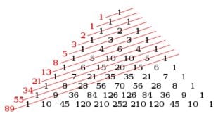 Fibonacci Kimdir? Fibonacci Sayıları Nedir?