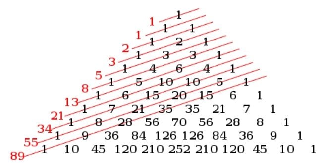 Fibonacci Kimdir? Fibonacci Sayıları Nedir?