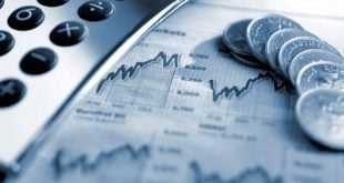 Fiskal Gelir Nedir? Parafiskal Kurumlar Nelerdir?