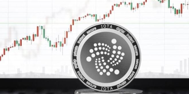 iota coin