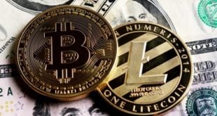 Litecoin Kripto Para Nedir LTC Coin