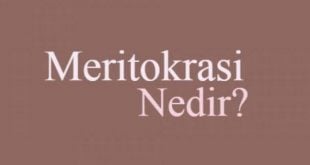 meritokrasi meritokratik