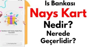 Nays Kart Nedir