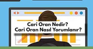 Cari Oran Nedir