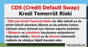 CDS-Kredi-Temerrut Riski