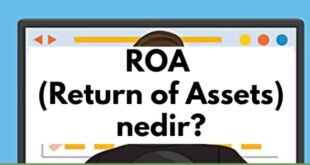 ROA (Return Of Assets) Nedir?