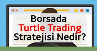 Borsada Turtle Trading